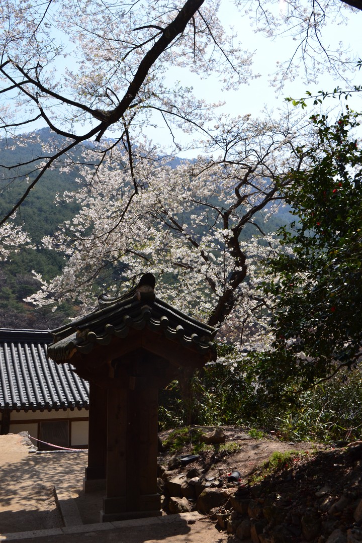 지리산이미지