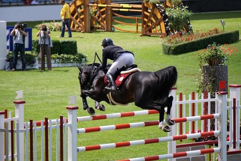 Springreiten