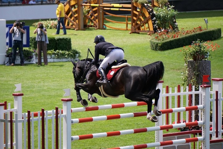 Springreiten