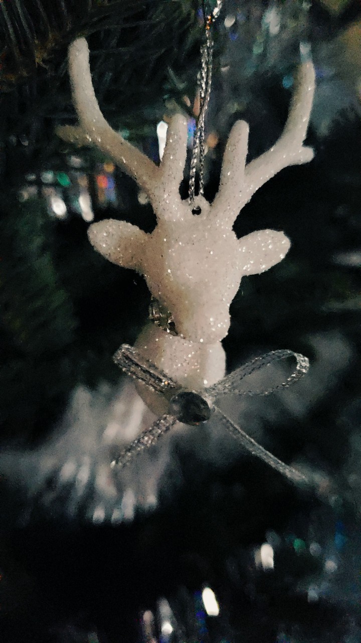 Christmas ornaments
