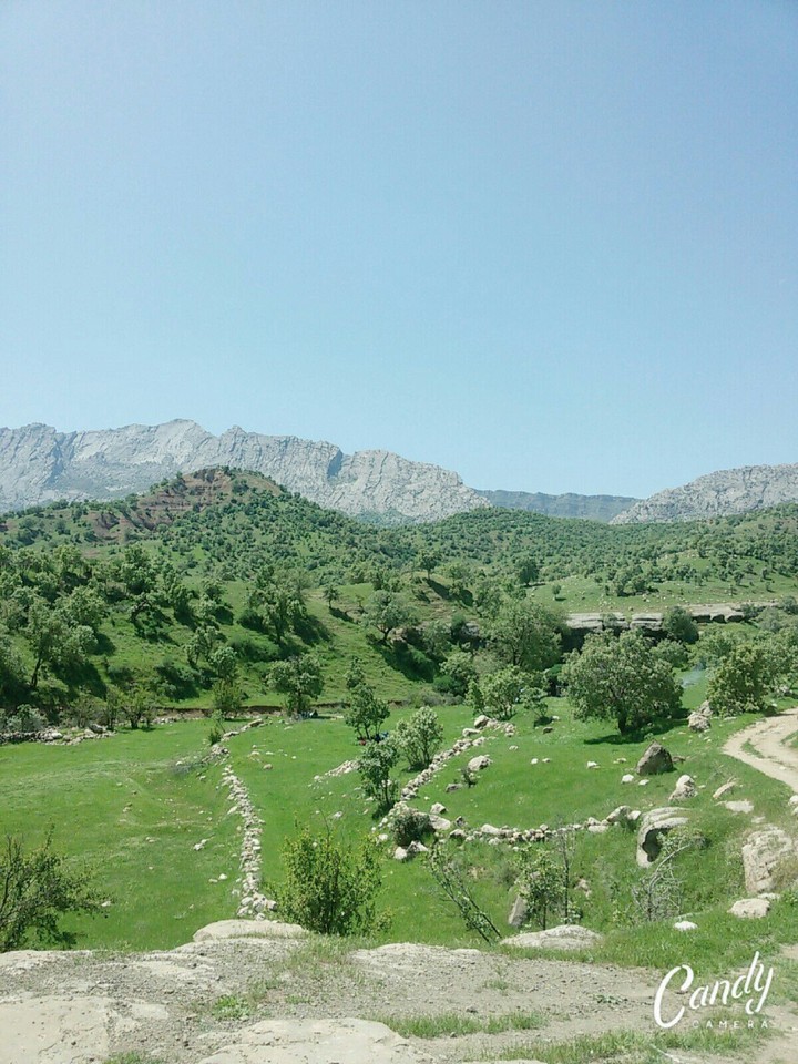 nature