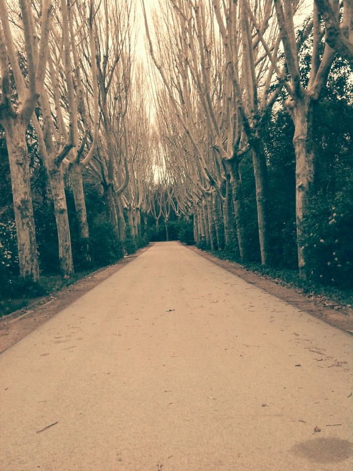 Walkway