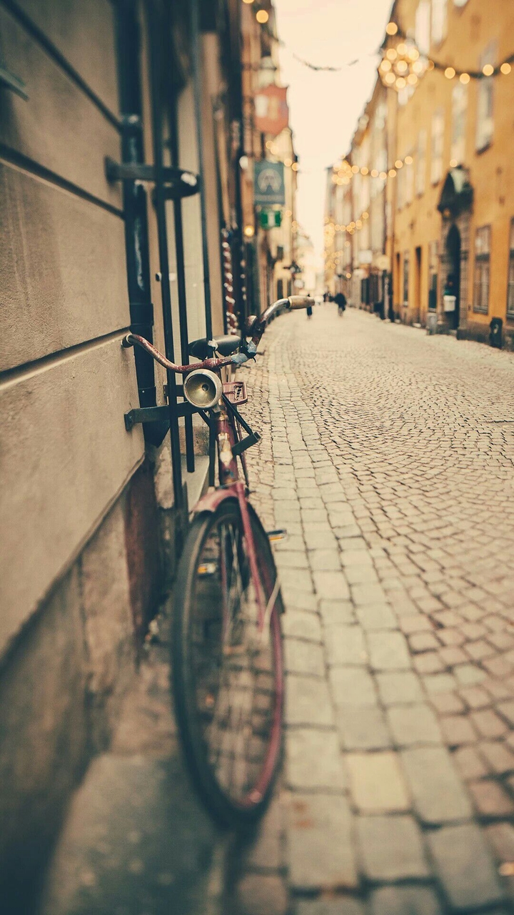 Old Bicycle