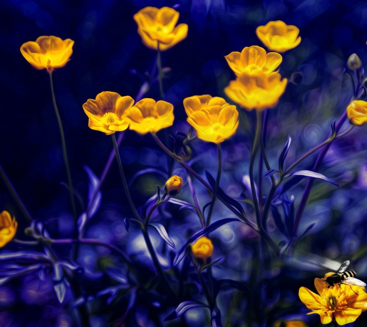 flower