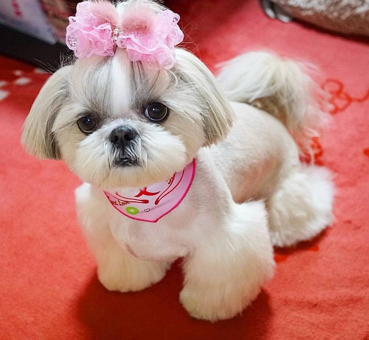 cute ❣️