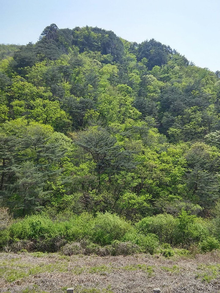 깊은 산