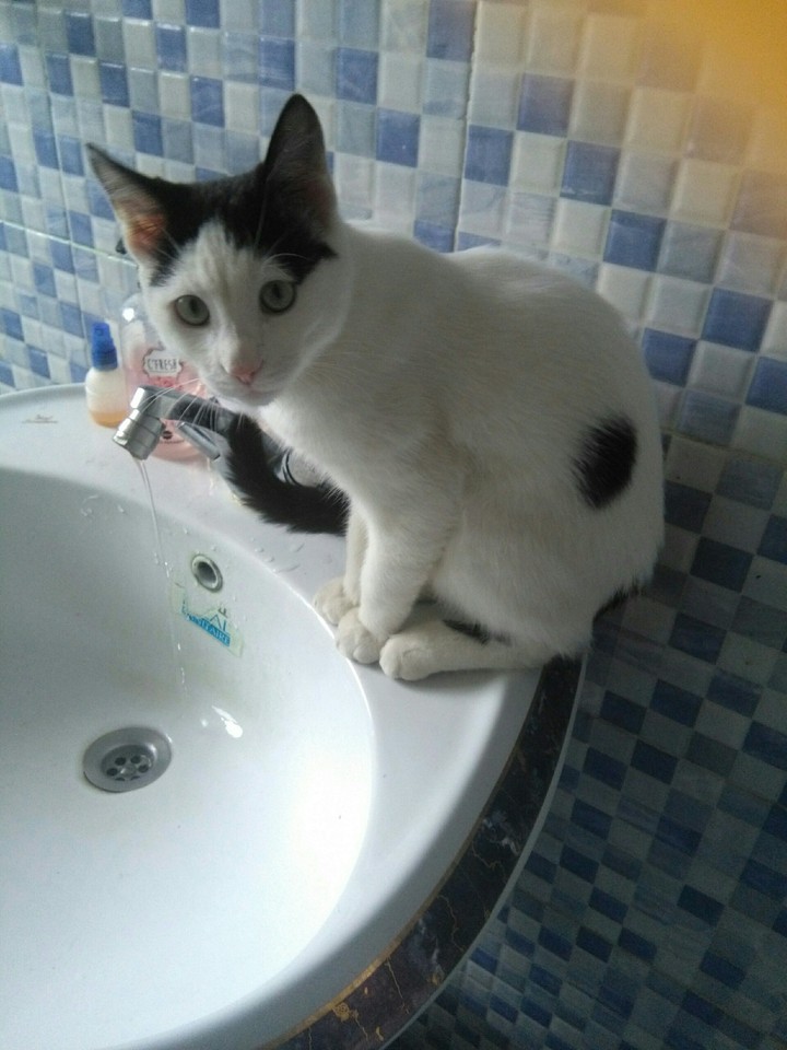 micho