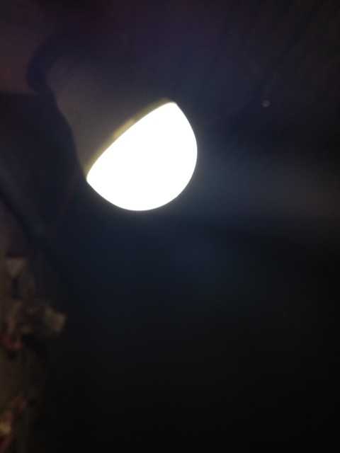 light bulb