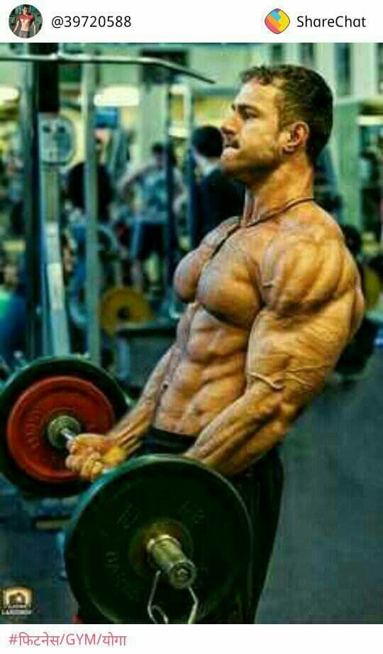 body