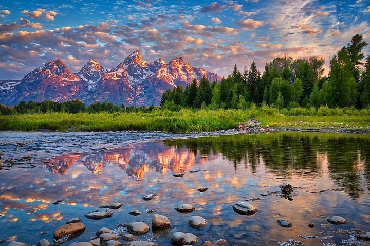 nature