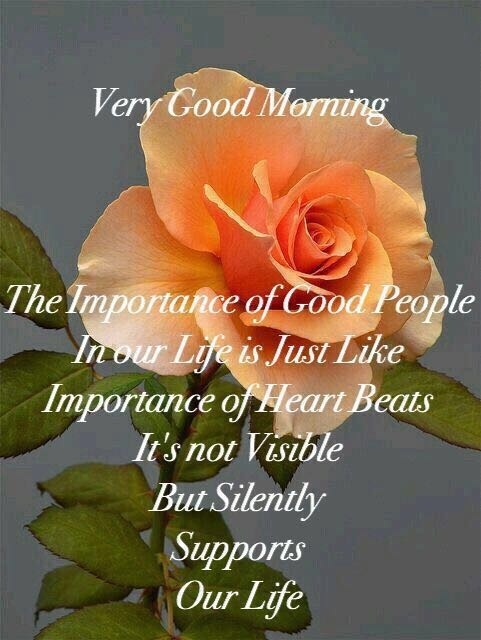 Good morning