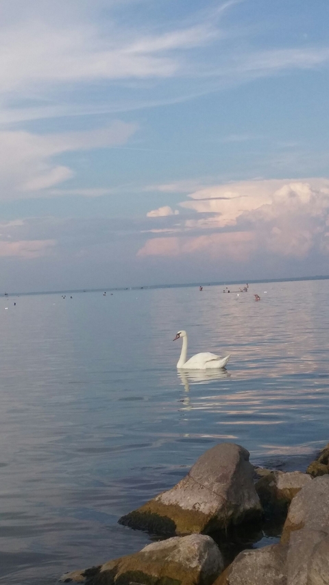 balaton