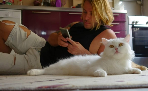 Cat Queen