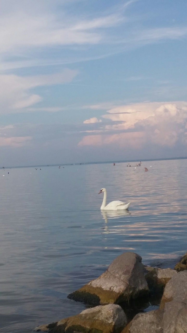 balaton
