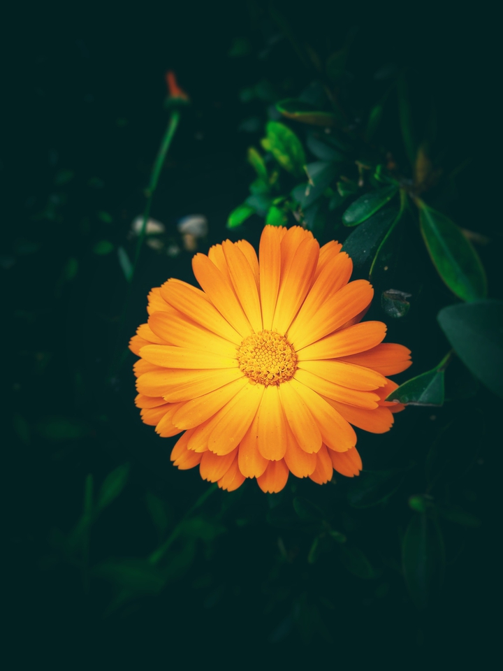 Background blur