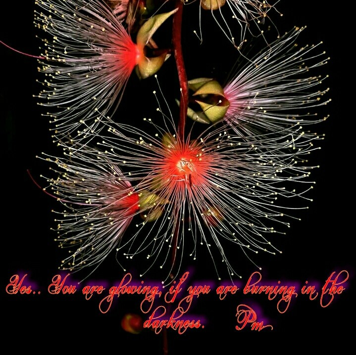 life quote