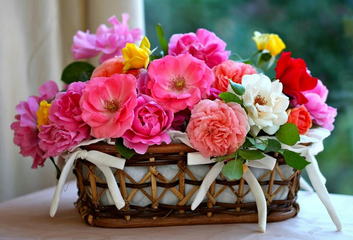 Flowers