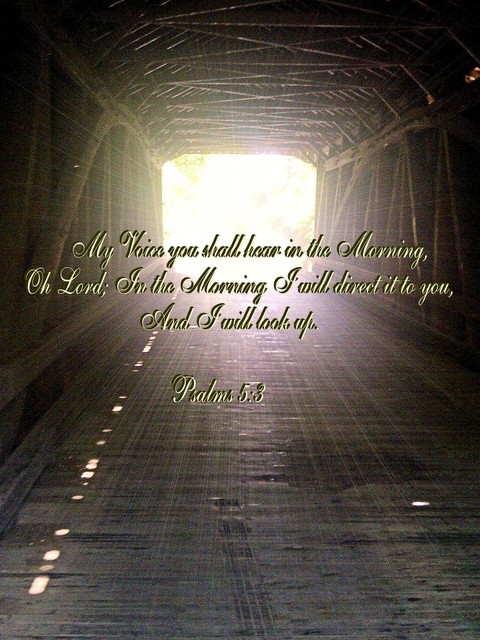 Psalms 5:3