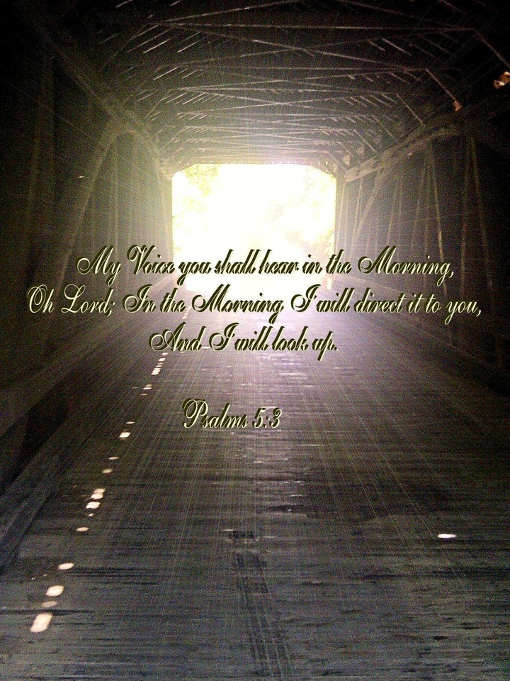 Psalms 5:3