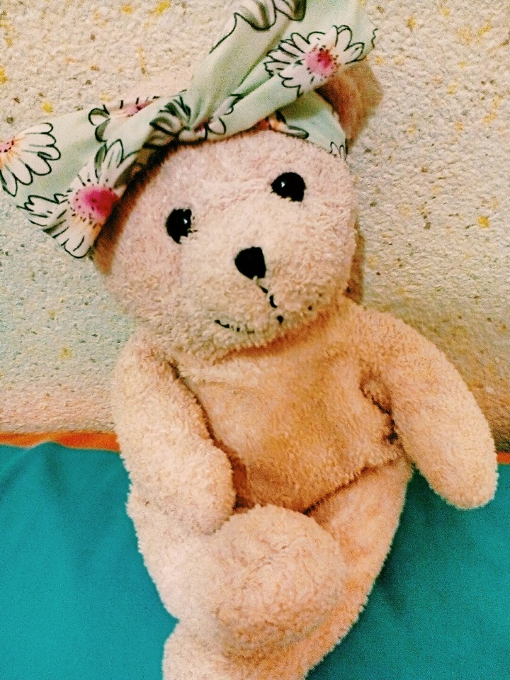 Bears Are Cute...