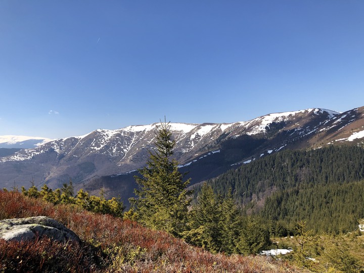 Nature