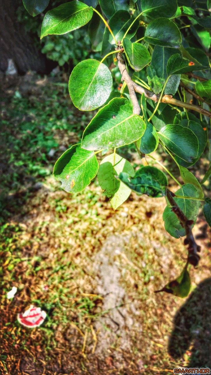 #nature
