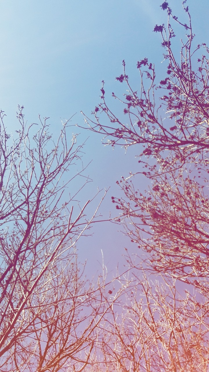 spring