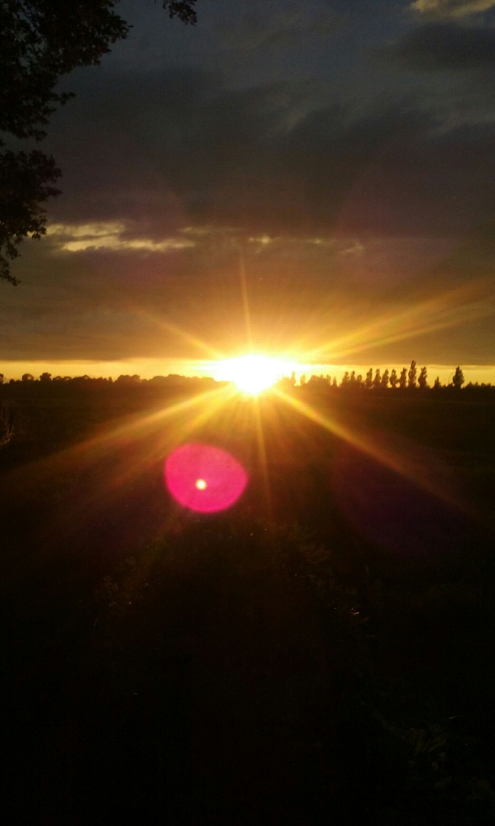Beautifful sunset in The Netherlands