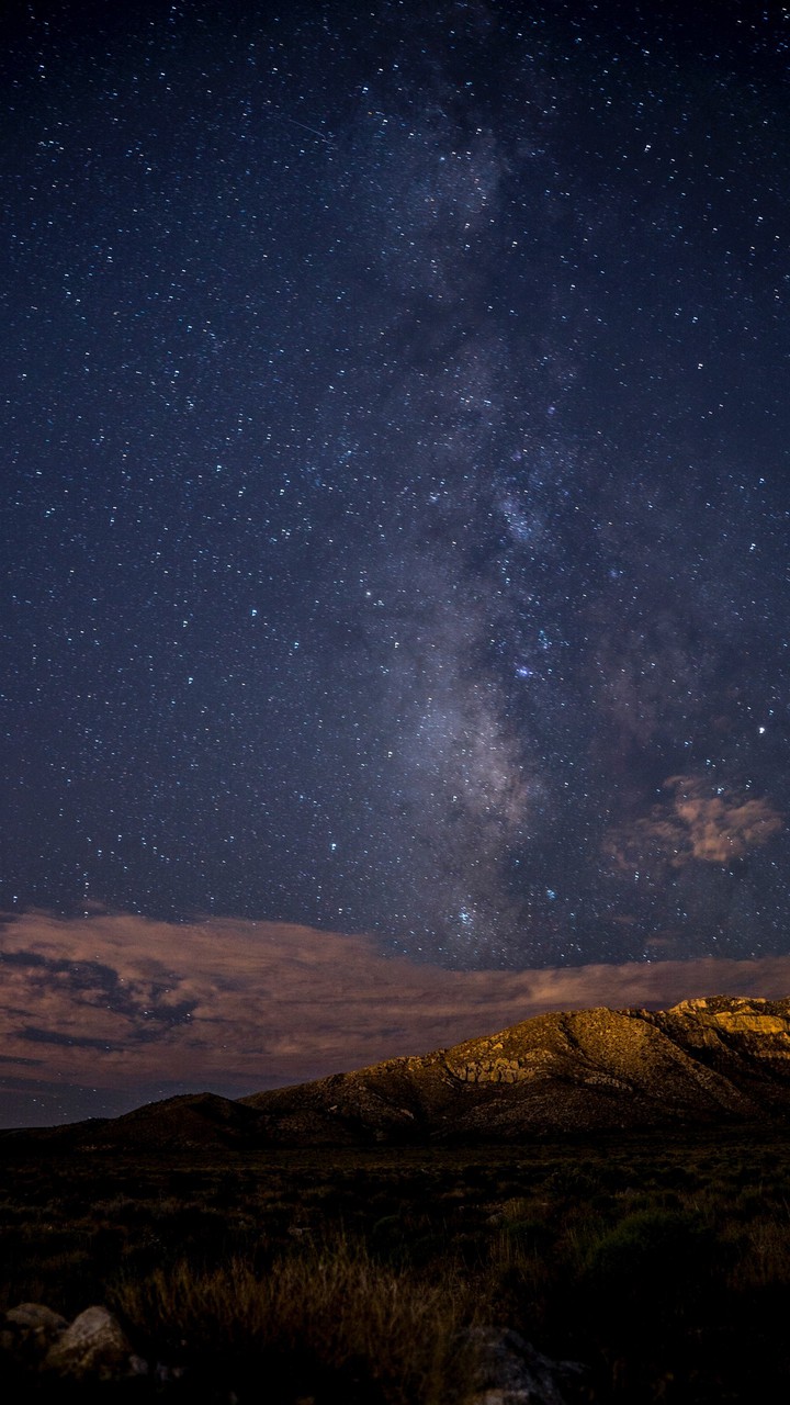stars