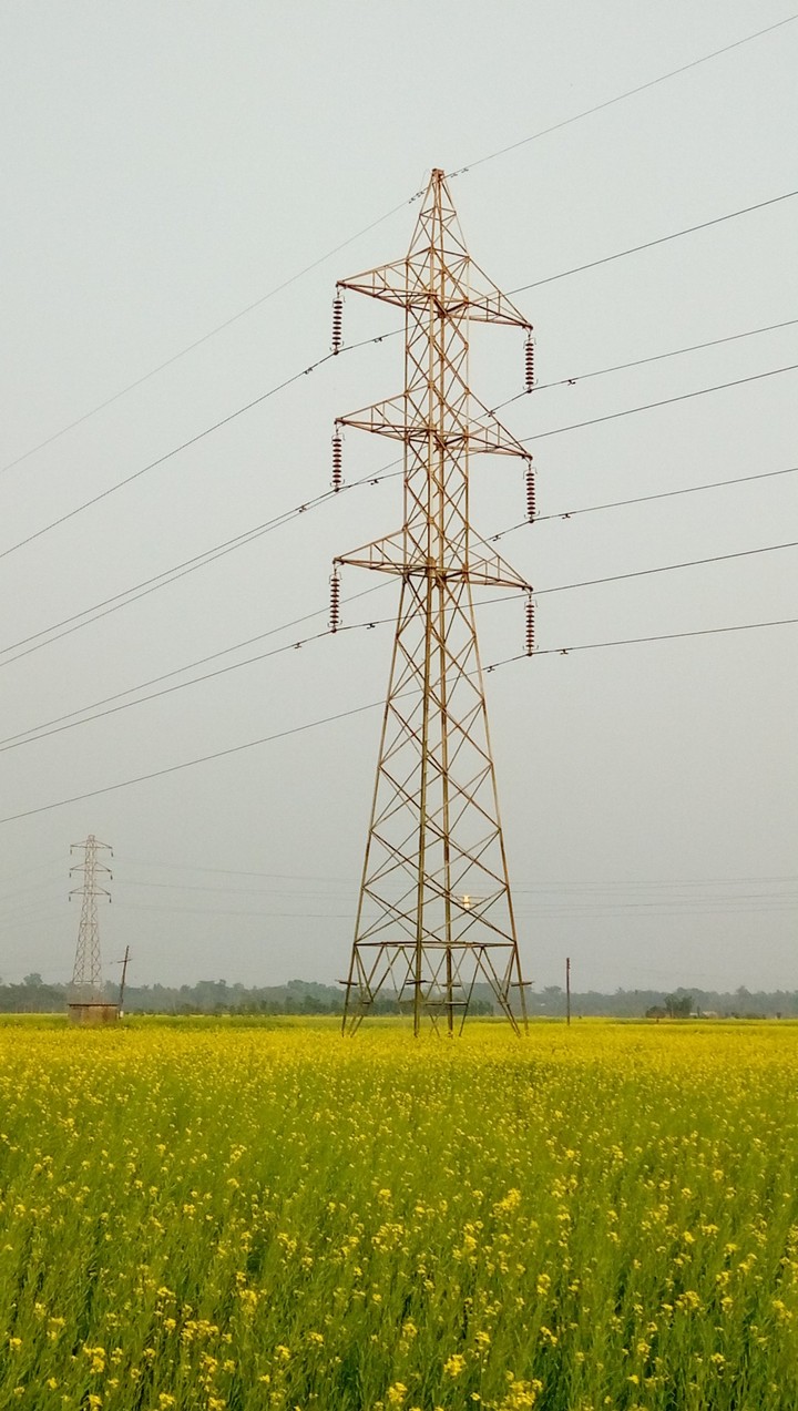 standing tall