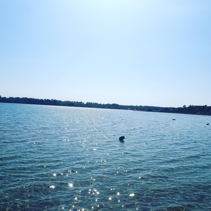 Danish Ocean