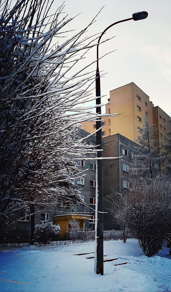 Winter