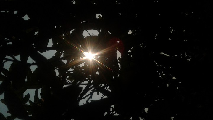 sun