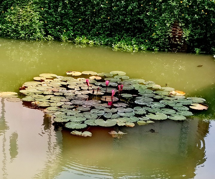 জল