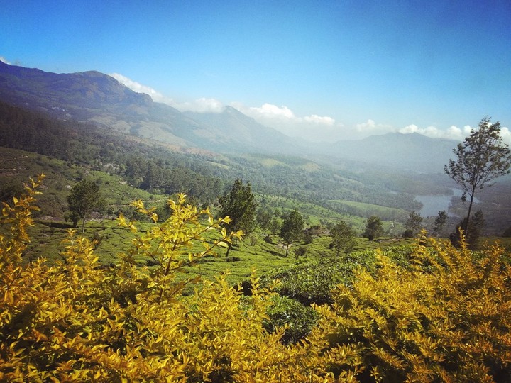 green valley..Kerala