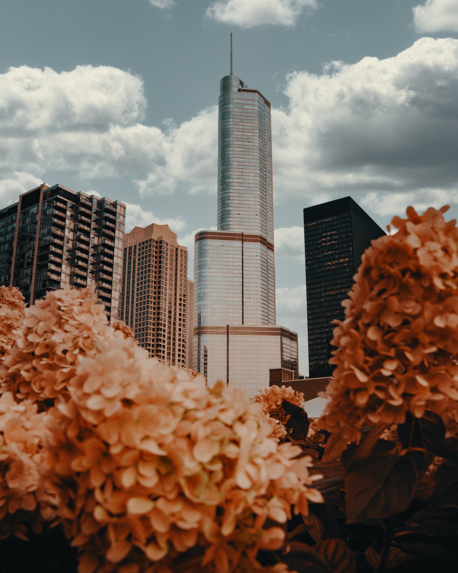 papéis de parede cityscape, Skyscraper