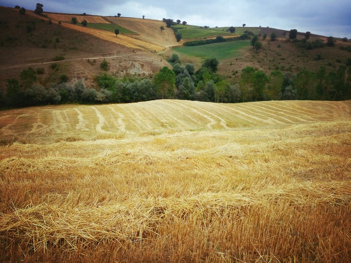 doğa