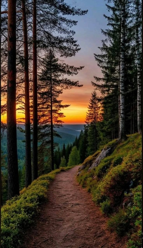 רקעים nature, Wilderness
