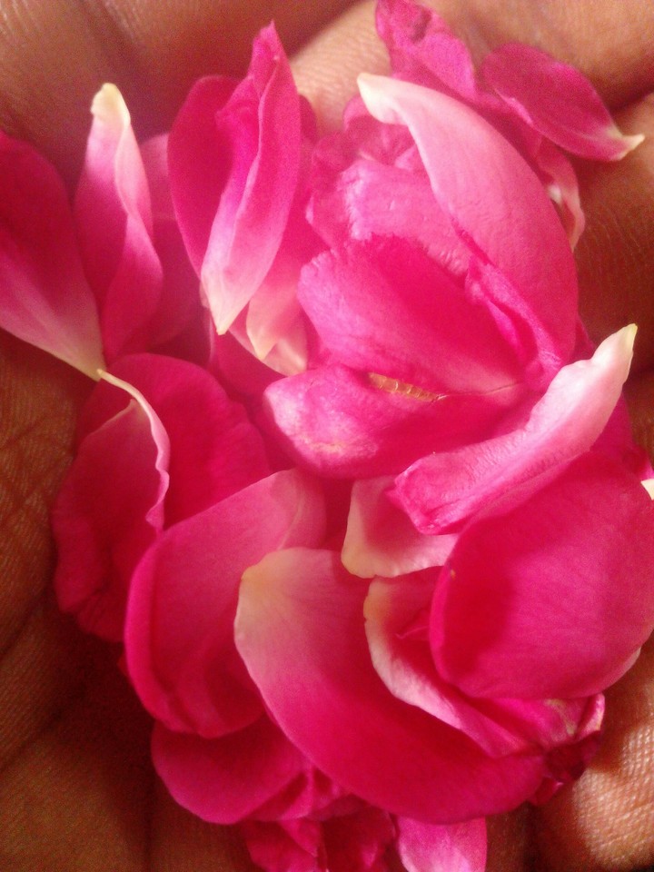 petals