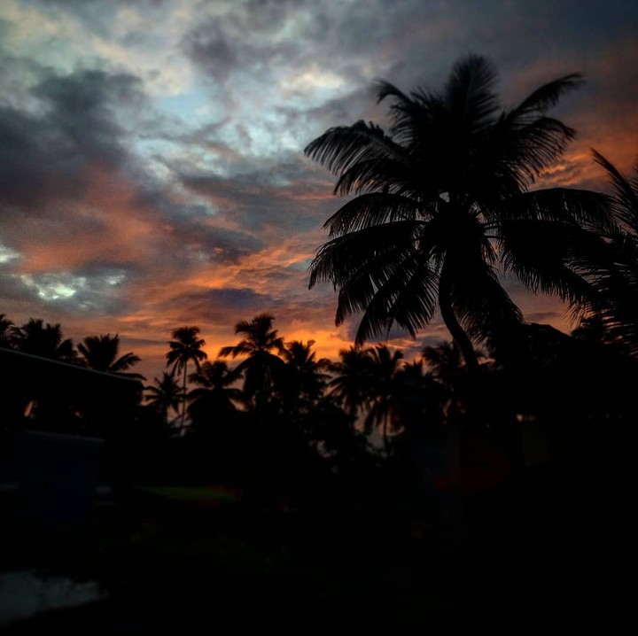 Sunsets