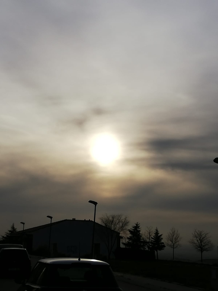 Un sol timido