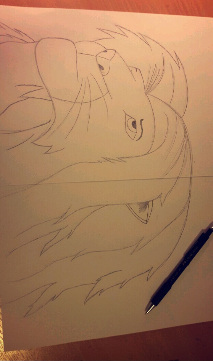 lion king