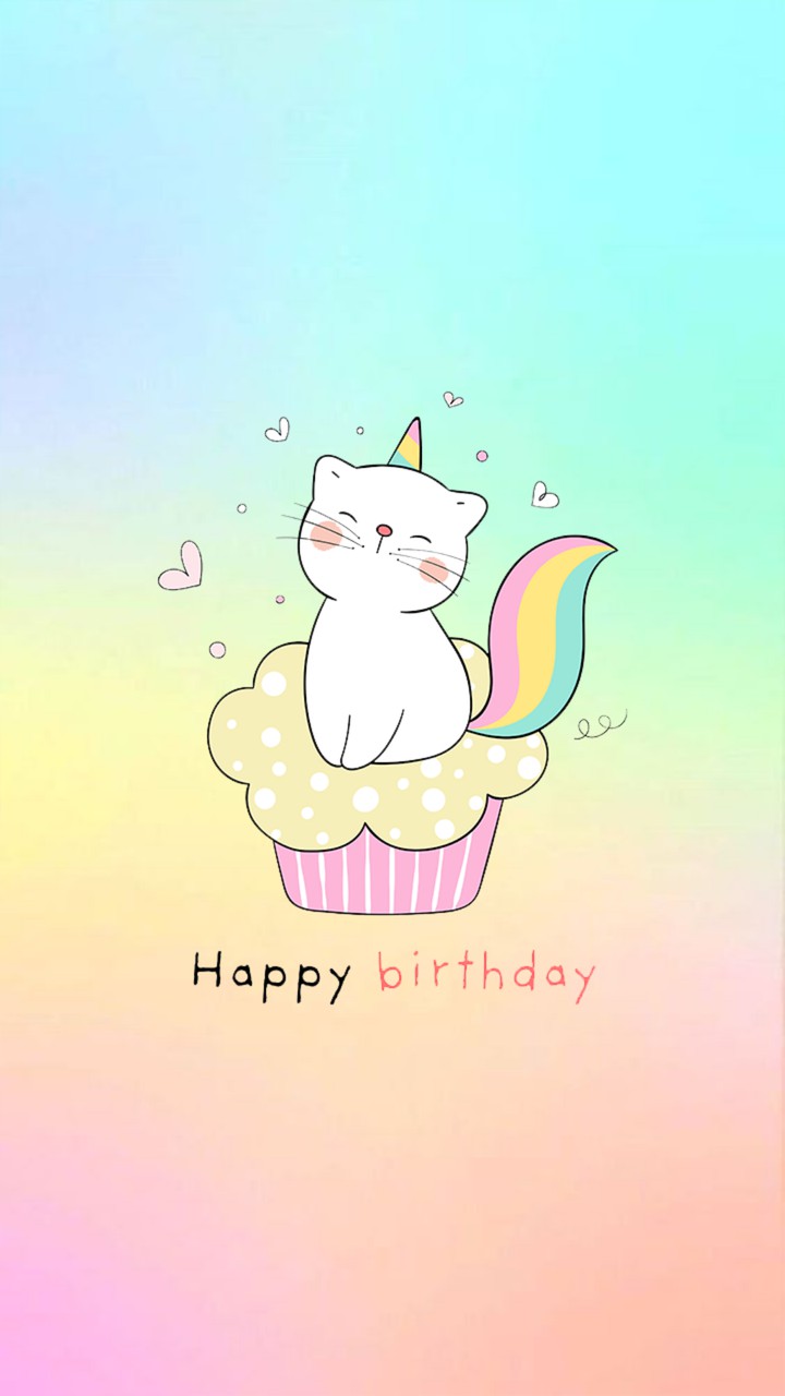 котик