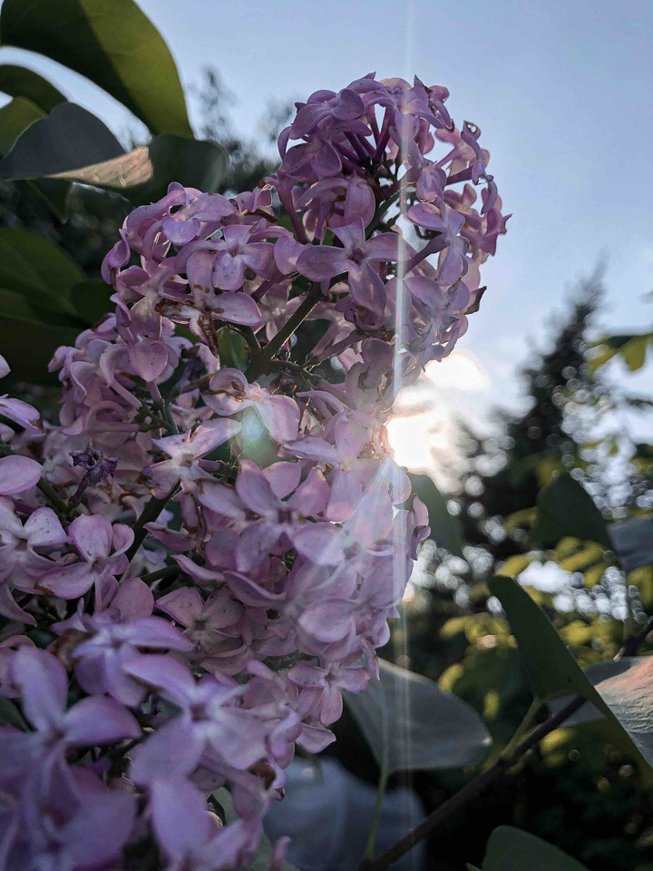 лето ☀️