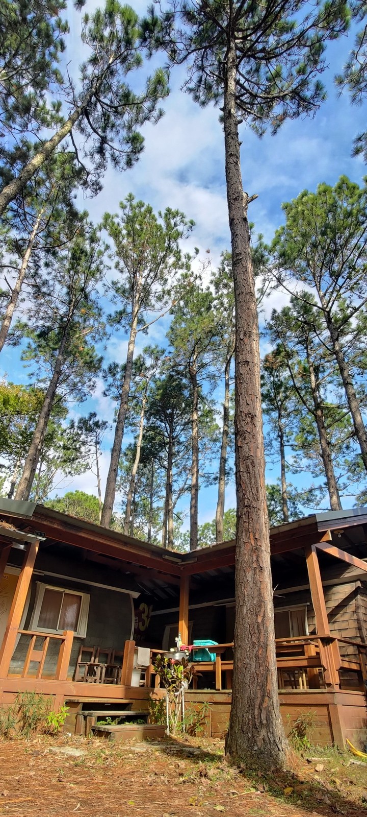 小木屋