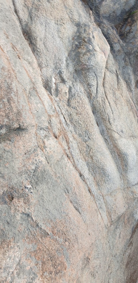 sfondi soil, brown
