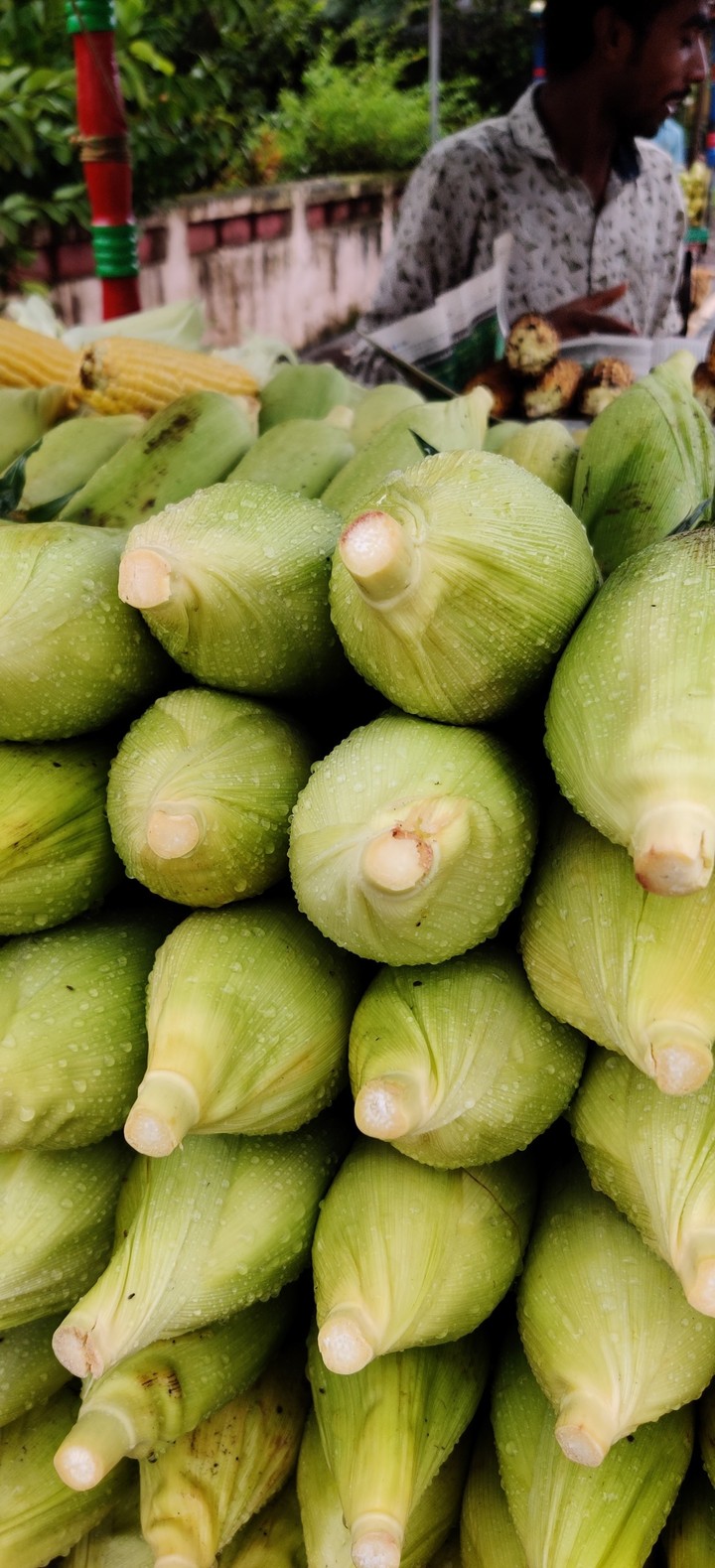 corn