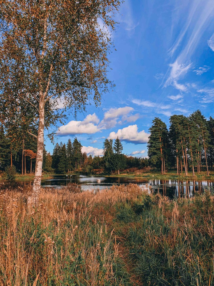 autumn