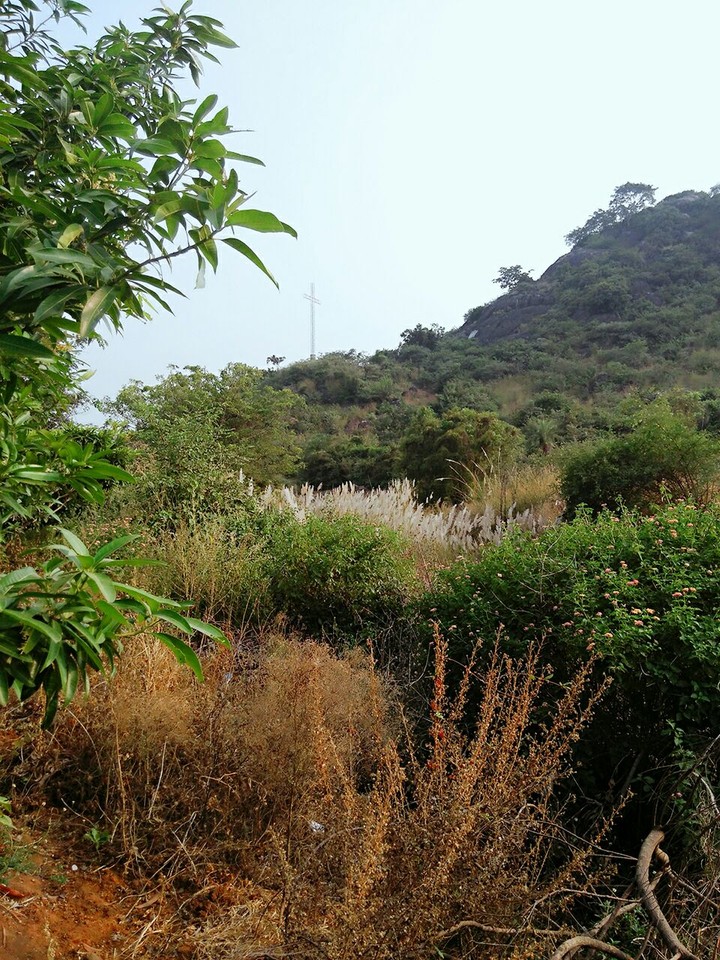 hill
