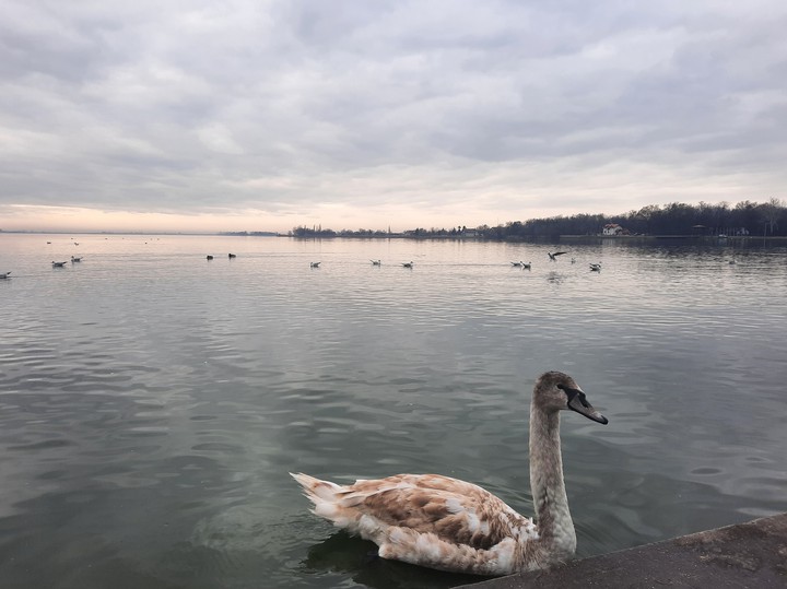 Palić, Subotica